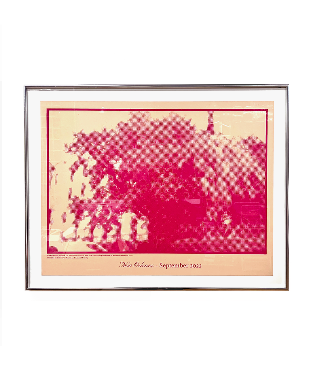 Grounded Witness (unframed)