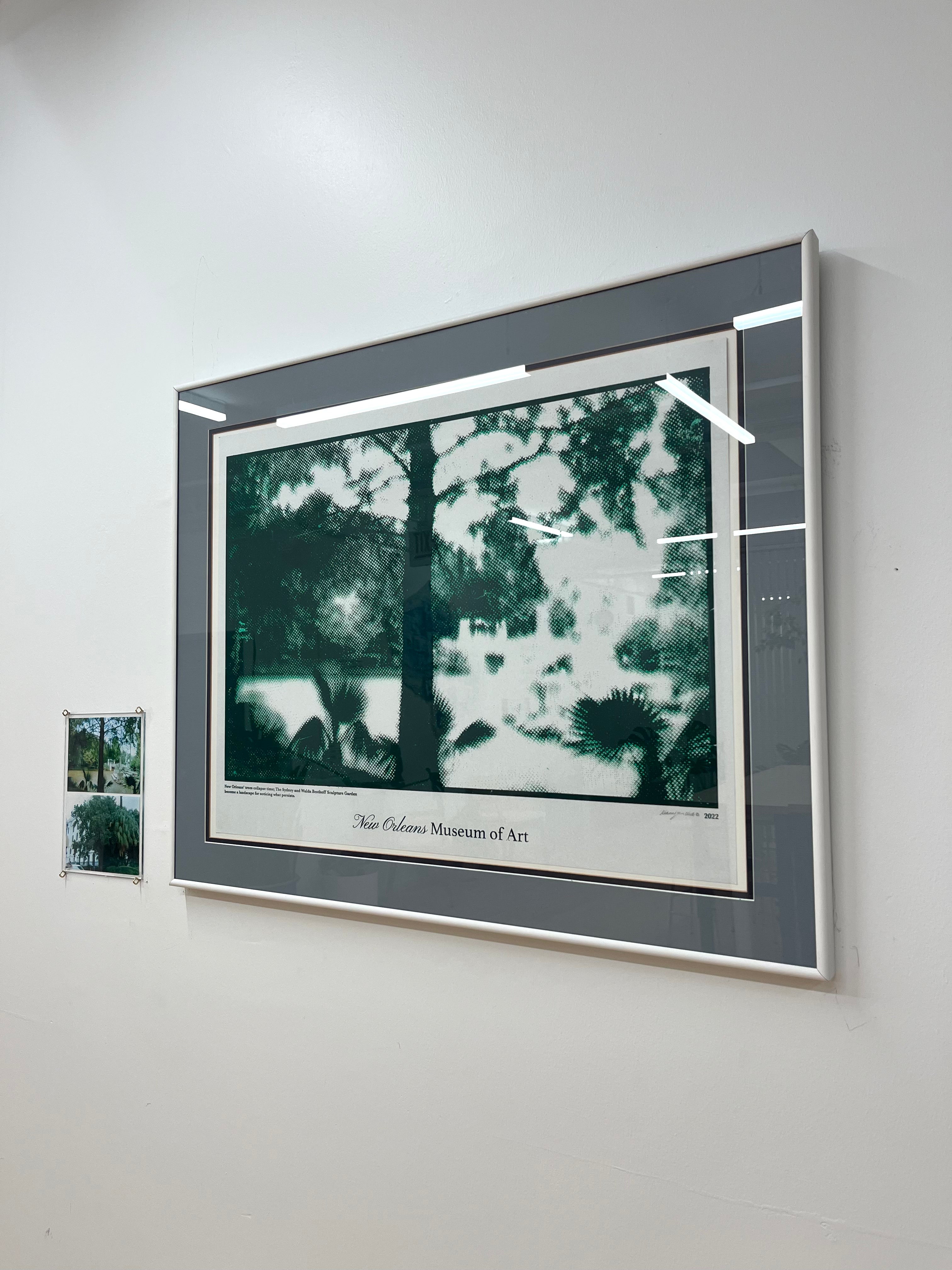 The Other Wonder (unframed)