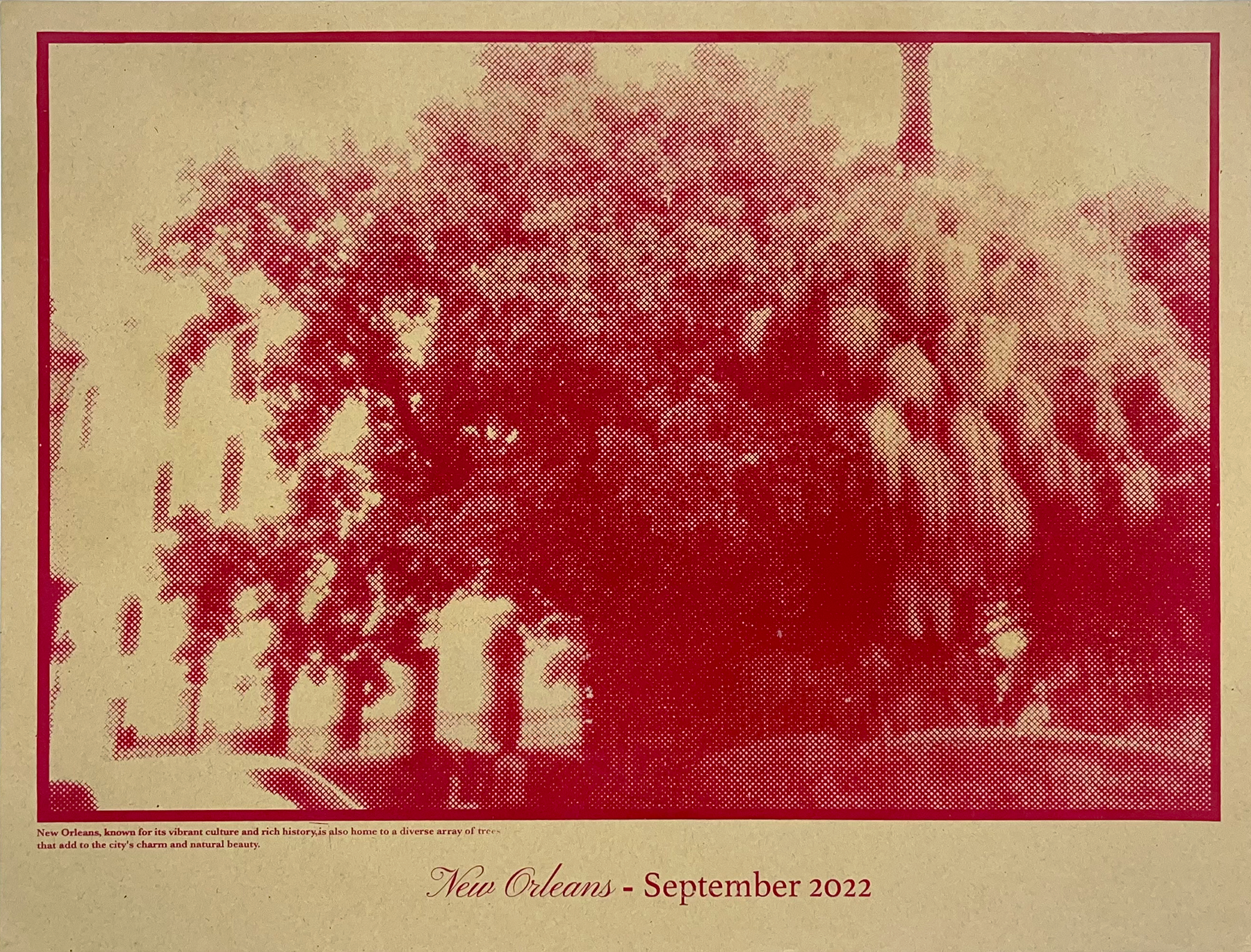 Grounded Witness (unframed)